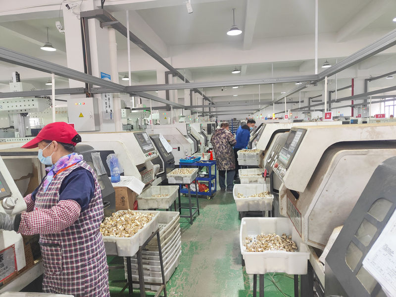 China Taizhou Yuehao Technology Co., Ltd Unternehmensprofil
