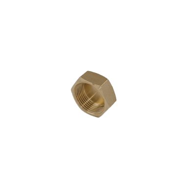 ISO 228 Female Copper Natural Color Thread 1 Inch Brass Plug For Pipe Fitting